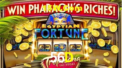 Estatísticas do Jogo 56D